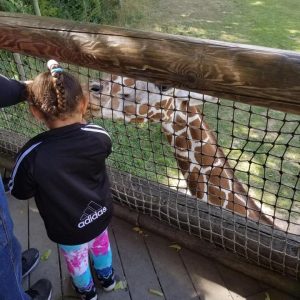 Zoo Trip